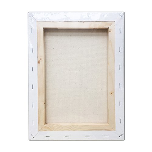 LWR CRAFTS Stretched Canvas 8" X 10" Pack of 6 - size: 8"x10"x6 (standard)