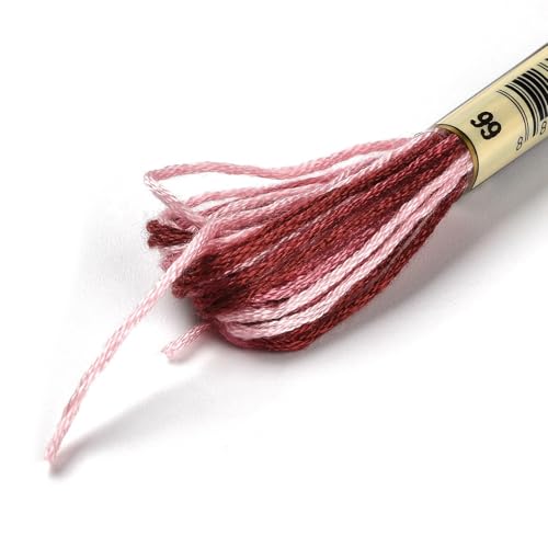 Cross Stitch Floss 10 Skeins Variegated Embroidery String 6 Strands Segment Dyed Polyester for Friendship Bracelet Needlepoint Sewing Knitting Crafts (Indian Red) - color: Indian Red