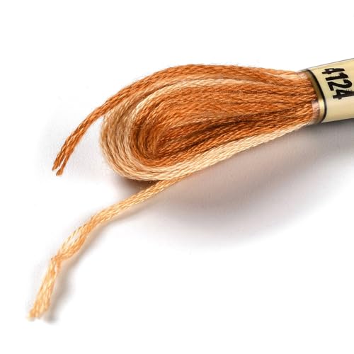 Cross Stitch Floss 10 Skeins Variegated Embroidery String 6 Strands Segment Dyed Polyester for Friendship Bracelet Needlepoint Sewing Knitting Crafts (Orange) - color: Orange