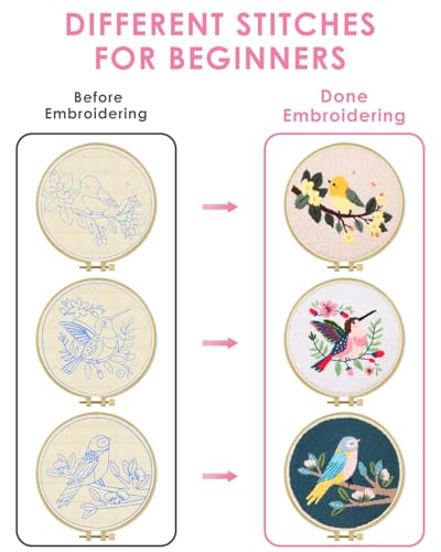 TINDTOP Punch Needle Kits, Bird Punch Embroidery Kits for Adults - color: Bird
