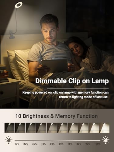 Clip on Lamp,5 Colors+10 Brightness Memory LED Desk Lamp with Clamp Light - color: Black.