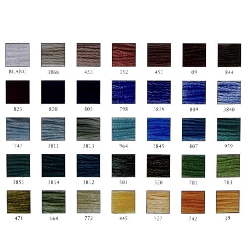 DMC Embroidery Floss, 35 Colors Scenic Tin Bundle with Hand Needles Size 5.