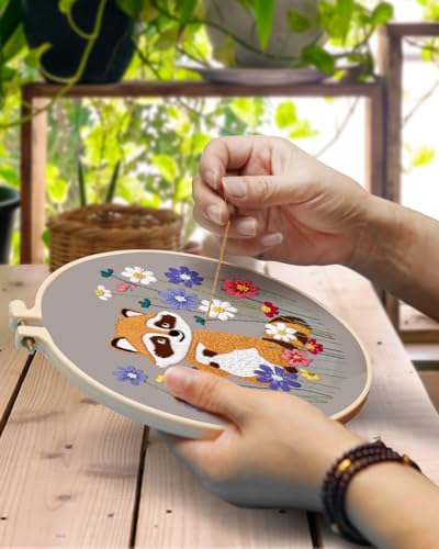 TINDTOP 3 Pack Embroidery Kit for Adult Beginners, Embroidery DIY Starter Kit, with Raccoon Stamped Patterns, Hoop, Tools, Colorful Threads with Needles, Instructions - color: Raccoon
