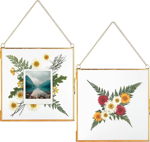 Glass Frame for Pressed Flowers, Leaf and Artwork - Hanging Square Metal Picture Frames, Clear Double Glass Floating Frame, Wall Decor Photo Display, Set of 2 Flower Press Frames with Chain (Gold, 10x10) - color: Gold, size: 10x10