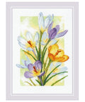 RIOLIS 2190 Spring Glow. Crocuses Counted Cross Stitch Kit 8.25 x 11.75 in - style: Spring Glow. Crocuses 2190