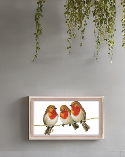 CaptainCrafts Cross Stitch Kits Three Little Birds Stamped Cross Stitch Printed 14CT Fabric DIY Art Needlecrafts Embroidery Kit for Adults Beginner Stamped 14CT - color: Three Little Birds, size: Stamped 14CT