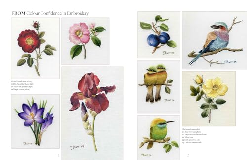 Trish Burr's Embroidery Transfers: Over 70 iron-on designs