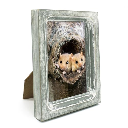 CVHOMEDECO. 4x6 Picture Frame Made of Solid Wood High Definition Glass Rustic Vintage Designs Small Photo Frame for Tabletop Display and Wall Mounting, Distress Grey - color: Distress Grey A, size: 4" X 6"