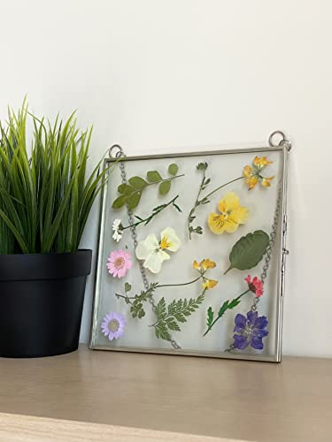 Glass Frame for Pressed Flowers, Leaf and Artwork - Hanging Square Metal Picture Frames, Clear Double Glass Floating Frame, Wall Decor Photo Display, Set of 2 Flower Press Frames with Chain (Silver, 6x6) - color: Chrome, size: 6x6