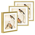 BKABOT 6x6 Brass Metal Photo frames 3 Pack HD Glass Mat 5x5 Wall Table - color: Brass, size: 6x6