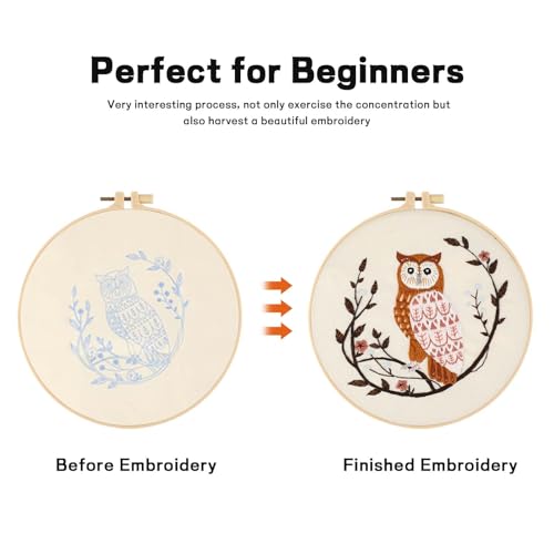 Beginner Owl Embroidery Kit for Adults, Pre-Printed with Video Tutorial - color: Owl