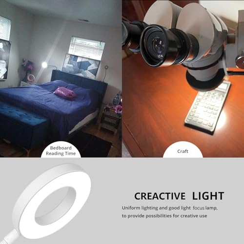 Woputne Desk Lamp Clip on Desk Reading Lights for Books in Bed (White) - size: White-1 Piece-Standard-With Adapter