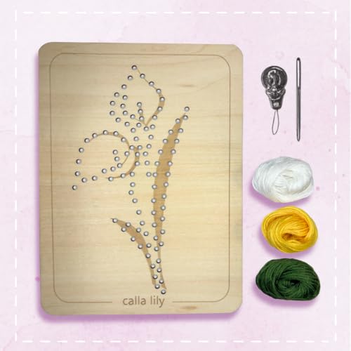 Wooden Flower Lacing Embroidery Kits for Beginners, Set of 5 Learn-to-Stitch Craft Boards, Sewing & Embroidery Art Kits for Kids Ages 8+, DIY Craft Projects, Educational Gifts, Party Favors (Summer) - style: Summer