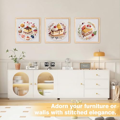 RidaaFri Embroidery Kit for Beginners, 3PC Starter Set Cake Fruit Patterns