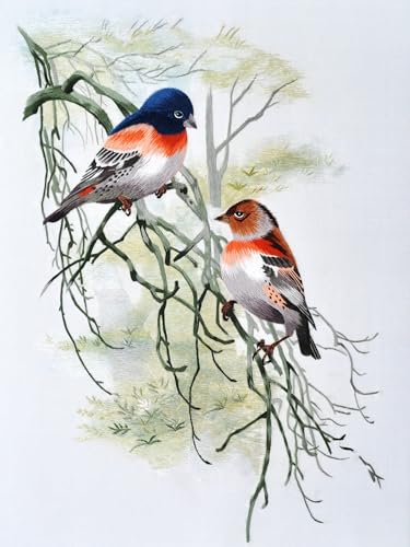 Natural 100% Mulberry Handmade Embroidery Silk Thread Silk Floss (67) - color: 67