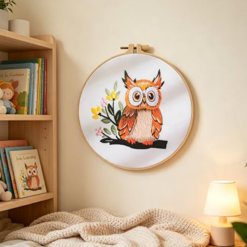 Embroidery Starter Kit for Adult Beginner with Owl Pattern Hand Stitch Set - color: Owl