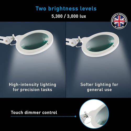 Magnifying Lamp XL - Clip On Magnifier Lamp for Nail Salons, Tattoo Artists, Reading & Detailed Work - Dimmable Mag Lamp - size: Mag Lamp XL
