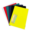 30 Sheets Carbon Transfer Paper,Tracing Paper Carbon Graphite Copy Paper with 5 Pieces Embossing Styluses Stylus Dotting Tools for Wood,Paper,Canvas and Other Art Surfaces 8.3 x 11.7 inches(6 Colors) - color: Black, Blue, Red, Yellow, Green, Translucent (