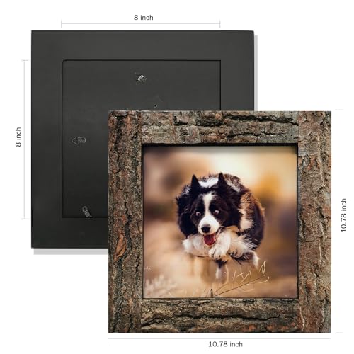 IKEREE 8x8 Rustic Picture Frames with Real Bark, Natural Wood Photo Frame - size: 8x8