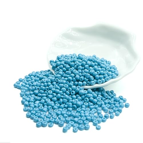 4mm Seed Bracelet Beads for Jewelry Making, 1000 Pcs Pony Beads Bulk for DIY Bracelet Earring Necklace Craft Supplies (Sky Blue) - color: Sky Blue
