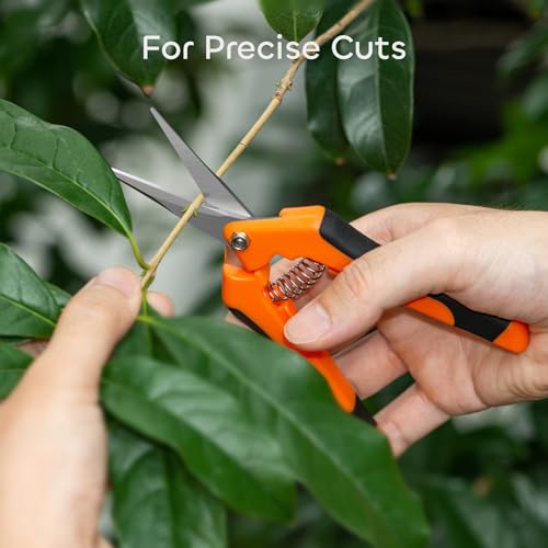 GROWNEER 6 Packs Pruning Shears Gardening Hand Pruning Snips with Straight Stainless Steel Precision Blades - style: Orange