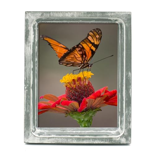 CVHOMEDECO. 6x8 Picture Frame Made of Solid Wood High Definition Glass Rustic Vintage Designs Small Photo Frame for Tabletop Display and Wall Mounting, Distress Grey - color: Distress Grey A, size: 6" X 8"