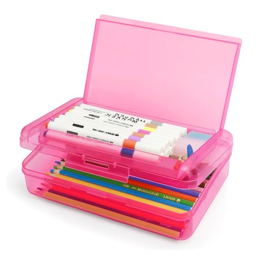 Double Layer Plastic Clear Hard Pencil Cases Box with Personalized sticker - color: Pink-Stickers