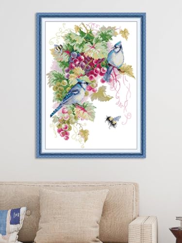Aiorkeng Cross Stitch Kits Stamped Full Range of Embroidery Starter Kits for Adults Beginners DIY Needlepoint Kit 11CT 3 Strands -Printed kit Blue Jays and Grapes(Printed) 16.1×21.7 inches - color: Blue Jays and Grapes41×55cm
