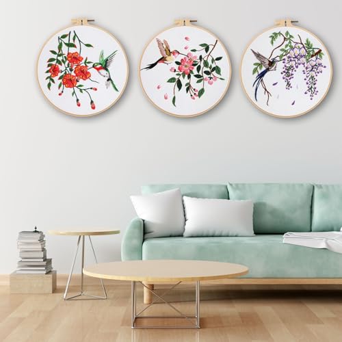 Ohcol 3 Sets Hummingbird Embroidery Kit for Beginners Needlepoint Kits for Adults Cross Stitch Kits with Clear Instructions,Easy Funny Stamped Bird Patterns Fabric Hand Crafts - color: Q-Hummingbird (3 Patterns, 1 Hoop + Extas)