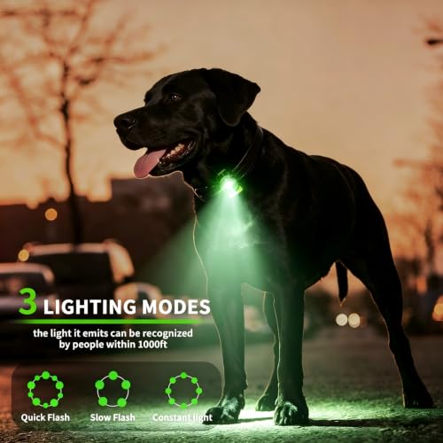 LaRoo Dog Collar Light, 13g Ultra-Light USB Rechargeable LED Dog Lights, IPX6 Waterproof 3 Modes Clip-On Pet Safety Light for Night Walking, Hiking & Camping -Green - color: Green-B