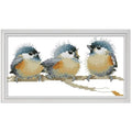 CaptainCrafts Cross Stitch Kits for Adults Stamped 14CT Birds Pattern - color: Stamped 14CT