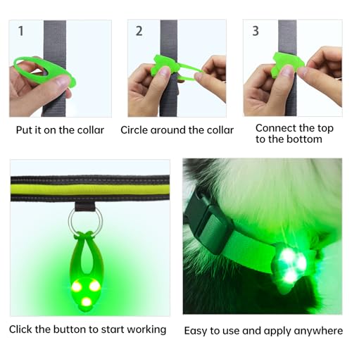 LaRoo Dog Lights - Led Collar Lights for Nighttime Walking - color: Green-A