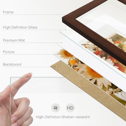 Golden State Art 8x10 Brown Picture Frame Mat for 5x7 Real Glass - color: Walnut, size: 8x10
