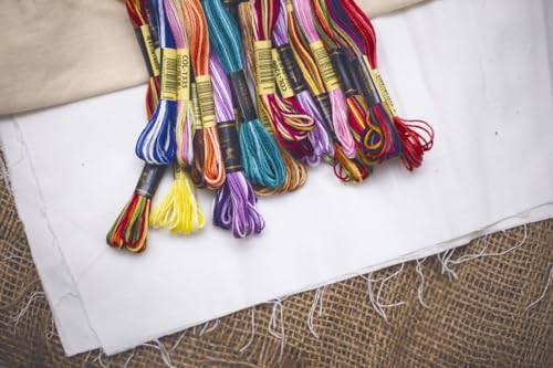 Pack of 12 Premium Embroidery Thread | 100% Egyptian Cotton Premium Skeins | Cross Stitch Embroidery Floss | Oeko TEX Certified | Ideal for Arts & Crafts (Orange Variegated 1220) - color: Orange Variegated 1220
