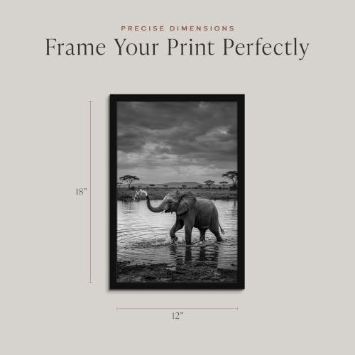 Americanflat 12x18 Poster Frame 2-Pack - Slim Molding - Black - size: 12x18