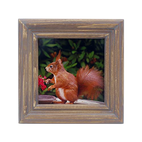 CVHOMEDECO. 4x4 Picture Frame Made of Solid Wood High Definition Glass Rustic Antique Designs Small Photo Frame for Tabletop Display and Wall Mounting, Distress Brown - color: Distress Brown B, size: 4" X 4"