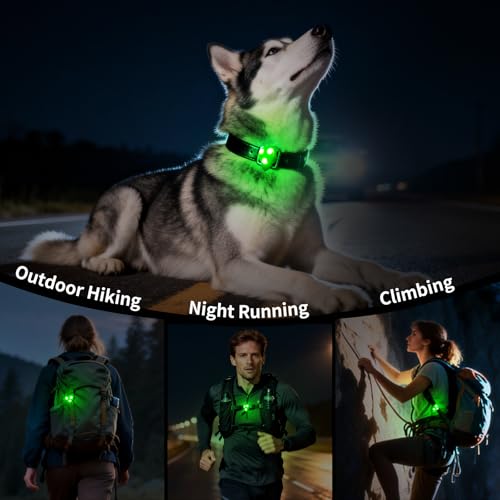 LaRoo Dog Lights - Led Collar Lights for Nighttime Walking - color: Green-A