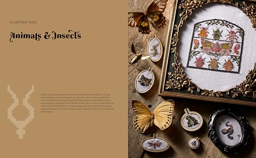 Cross Stitch Cabinet of Curiosities: 500 magical motifs and peculiar patterns