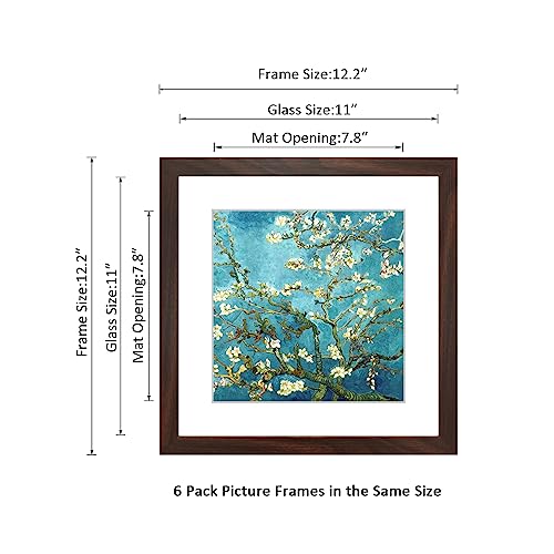 11x11 Picture Frame Set of 6 with Real Glass for Pictures 8x8 with Mat or 11x11 Without Mat, Wall Gallery or Tabletop display Photo Frames in Walnut - color: Walnut, size: 11x11(set of 6)