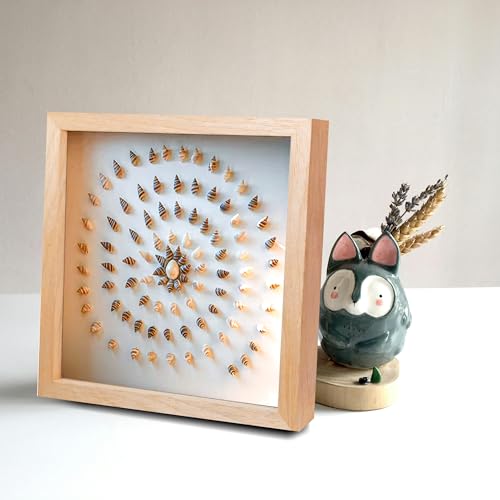 8x8 Shadow Box Frame Natural Wood Shadow Box Display Case 3 Pack Picture Frames Glass Surface Internal Depth 0.6 inch for Wall Or Tabletop - color: Teak, size: 8x8 inch