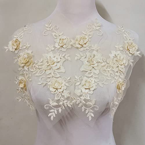 2 Pair 29x13cm Red/Pink/Purple/Sky Blue Wedding Dress Lace Shirt Accessories Embroidery Lace Garment Design DIY Accessories (Champagne) - color: Champagne