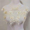 2 Pair 29x13cm Red/Pink/Purple/Sky Blue Wedding Dress Lace Shirt Accessories Embroidery Lace Garment Design DIY Accessories (Champagne) - color: Champagne