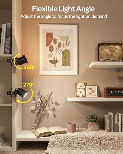 3CCT Clip On Spot Light Plug in with Remote Control - color: 3CCT