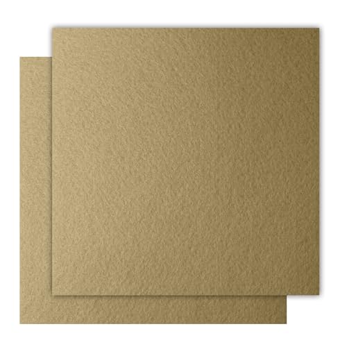 12" x 12" Felt Fabric Sheets for Crafts, Squares Felt Fabric Sheets, 1mm Thick, Non-Woven Felt Paper for DIY Sewing Craft, 2pcs (Beige) - color: Beige