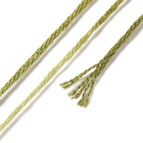 10 Skeins Olive Drab 0.5mm 6-Ply Polyester Embroidery Floss Cross Stitch Threads Segment Dyed Gradient for DIY Craft Hand Sewing Knitting DIY Crafts Jewelry Making 8.75 Yards(8m)/Skein - color: Olive Drab