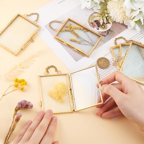 OLYCRAFT 6Pcs Wall Hanging Mini Photo Frames 2x3 Inch Double Glass Picture Frame with Chain Brass Folding Frame DIY Vintage Artwork Display Frames for Pressed Flowers Pictures Home Wall Decor - size: 2x3 Inch