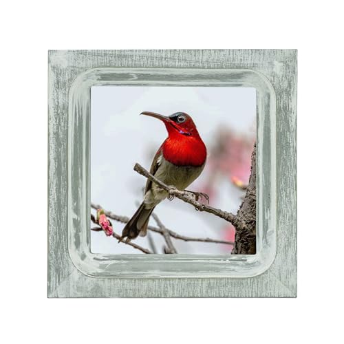 CVHOMEDECO. 4x4 Picture Frame Made of Solid Wood High Definition Glass Rustic Vintage Designs Small Photo Frame for Tabletop Display and Wall Mounting, Distress Grey - color: Distress Grey A, size: 4" X 4"
