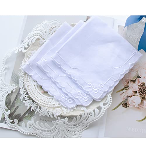6 Pack of Ladies Embroidery Cotton Handkerchiefs Lace Wedding Hankies - color: E2 New