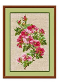 RIOLIS 809 May Wild Rosey Counted Cross Stitch Kit 8 x 12 in