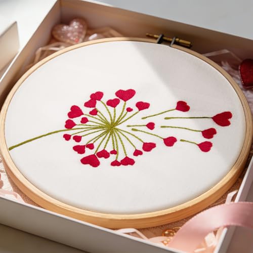 Lover Valentine's Embroidery Kits for Beginners Adults, Heart Shaped Hand Embroidery Kits, Cross Stitch Kits for Adult Anniversary Valentine's Gifts, Entire Set of Embroidery Supplies & Video Tutorial - color: H2063, size: 8Inch